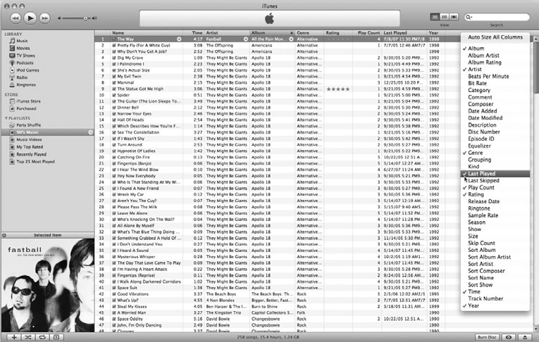 Рис. 9.1. iTunes предоставляет широчайший набор опций
